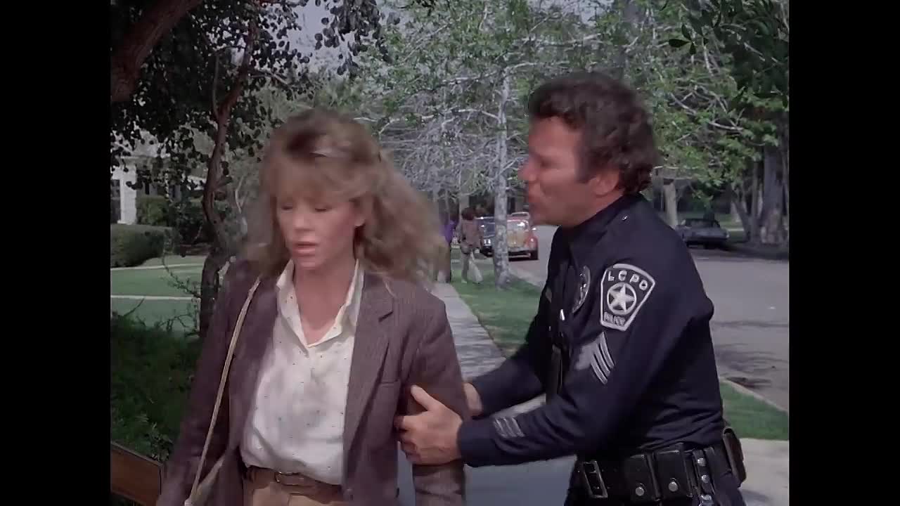 TJ Hooker  -The Witness