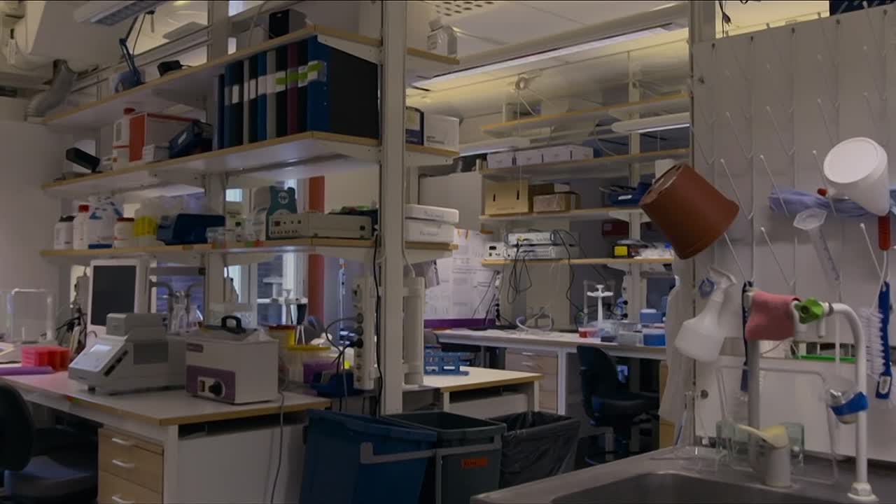 Dr Death Cutthroat Conman 2023 1080p WEBRip x264 AAC5 1-