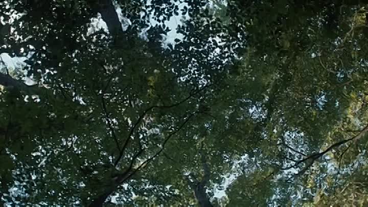 Fear Street Part 3 1666 2021 HDRip XviD AC3-EVO