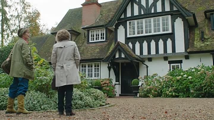 Finding Your Feet 2017 HDRip XviD AC3-EVO