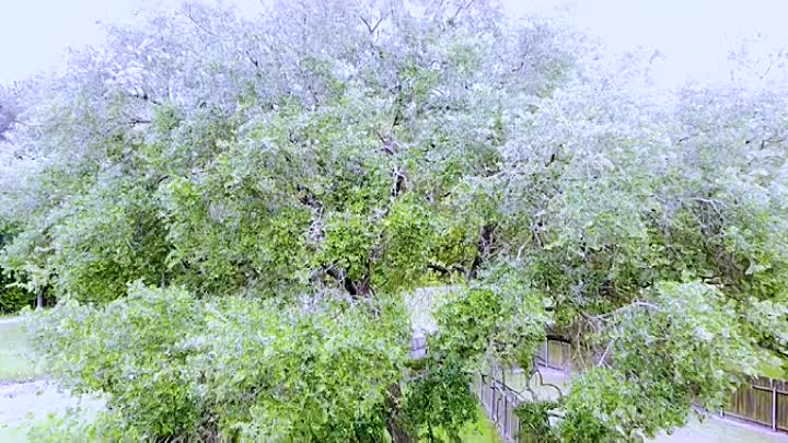 Gutter 2022 HDRip XviD AC3-EVO