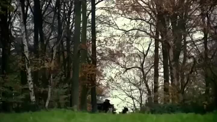 Cruel Passion. (1977 film)