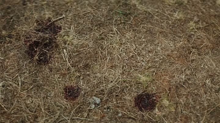 No Mans Land 2021 BRRip XviD AC3-EVO