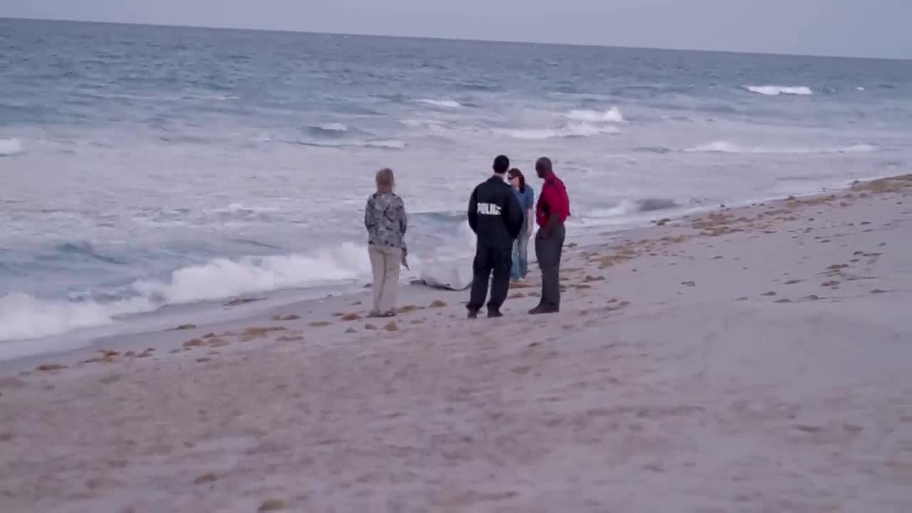 The Happiest Place on Earth (2015)