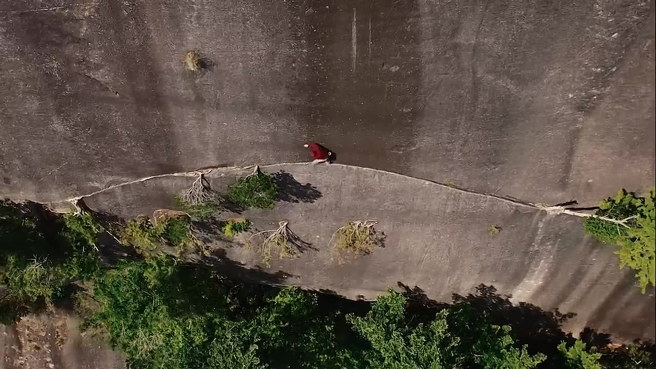 FREE SOLO _ HURT (Award-Winning Short Film 2022) _ Squamish