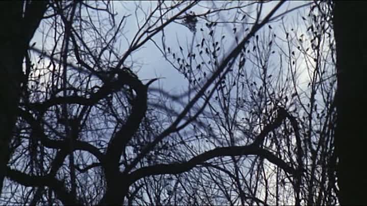 The Dark Half (1993)