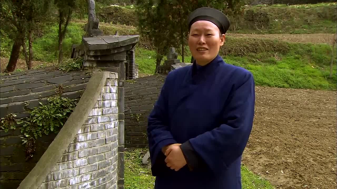 Qi - The Art of Traditional Chinese Medicine