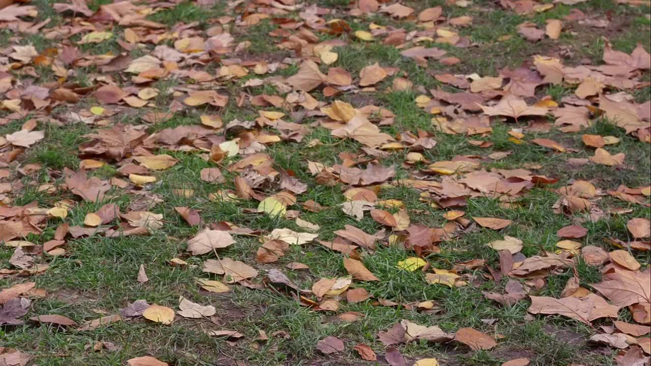 Cashmere Mafia S01E07