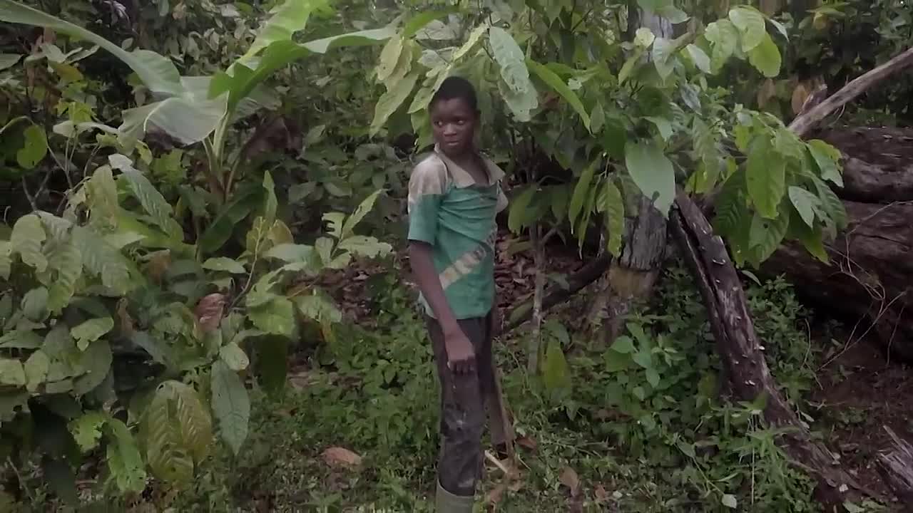 Chocolate -Heart of darkness