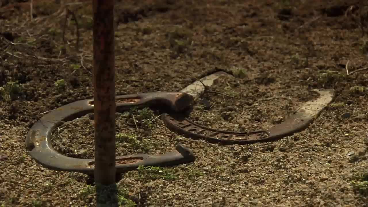 Police Hunt Serial Killer for Over 15 years