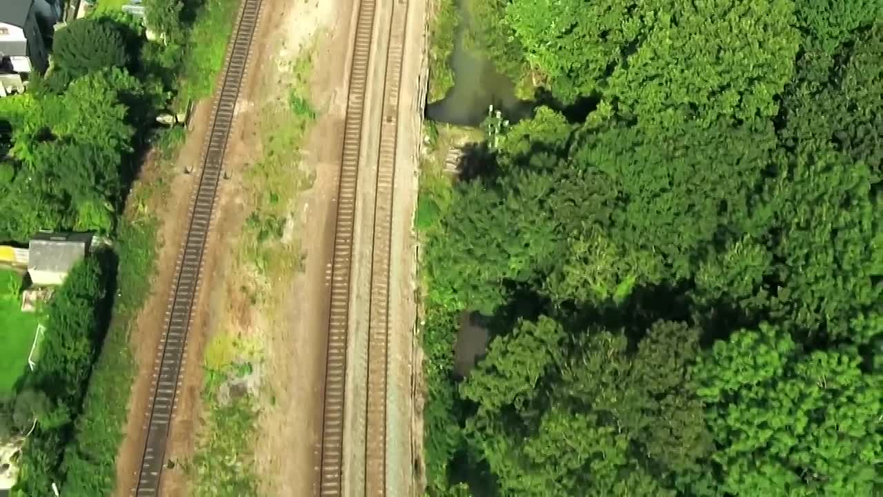 Murder at the Wedding