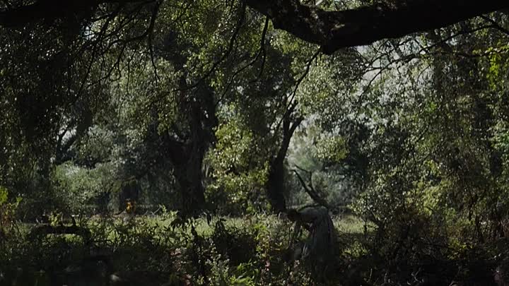 The Beguiled 2017 HDRip XviD AC3-EVO