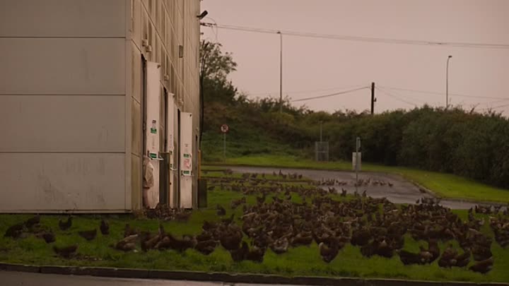 The Nan Movie 2022 HDRip XviD AC3-EVO