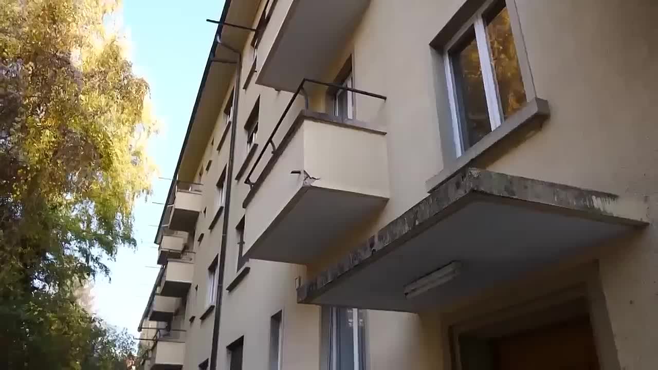 Switzerland's Strict Society