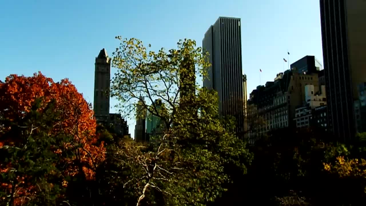 ⁣Bradley Welsh -Britain’s Youngest Criminal Mastermind