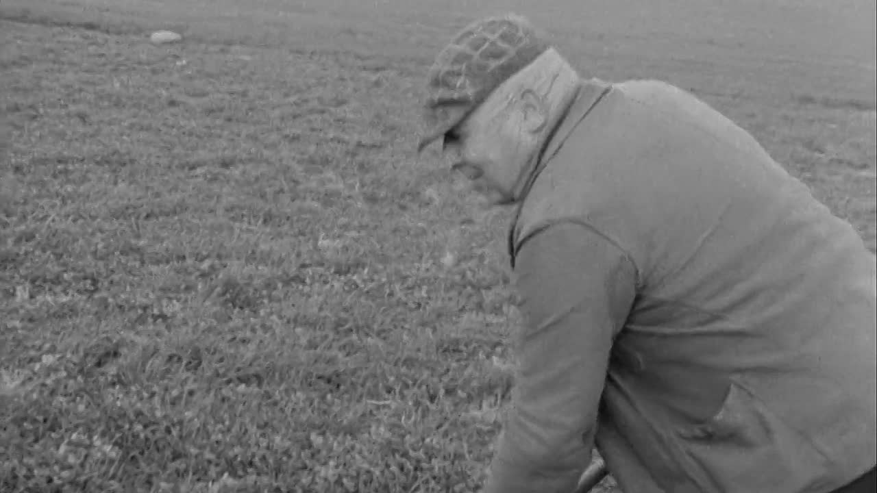 The Sorrow And The Pity 1969 720p BluRay x264 AAC-