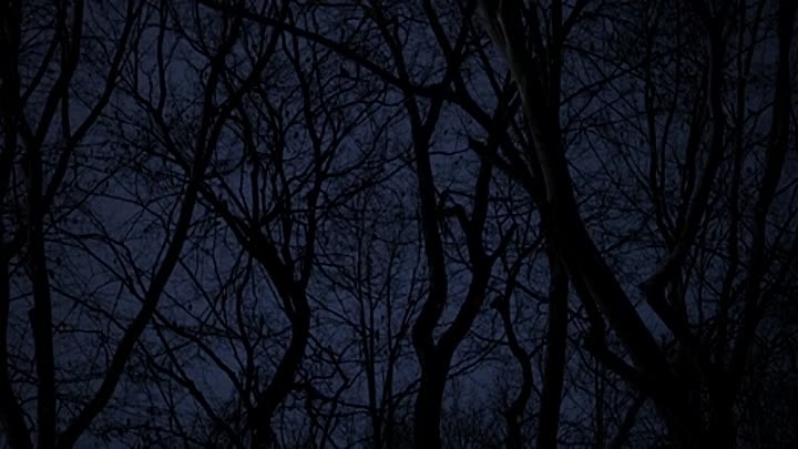 The Whooper Returns 2021 HDRip XviD AC3-EVO