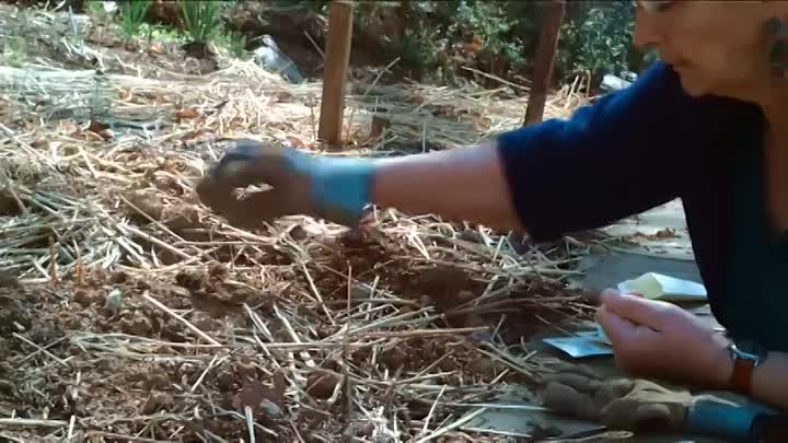 Real Value  Economics Documentary with Dan Ariely