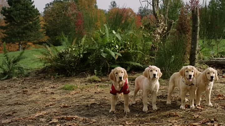 Spooky Buddies 2011 FRENCH DVDRip XviD-OSEF