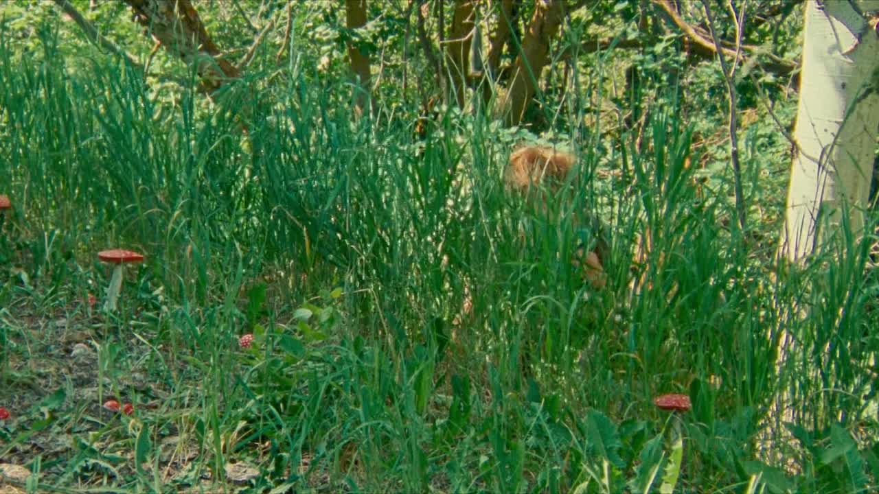 Riddle Of Fire 2023 1080p WEBRip x264 AAC5 1-