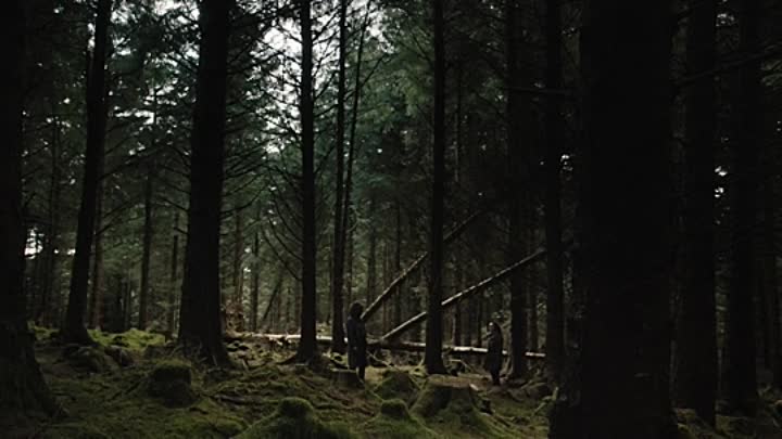 Rose Plays Julie 2020 HDRip XviD AC3-EVO