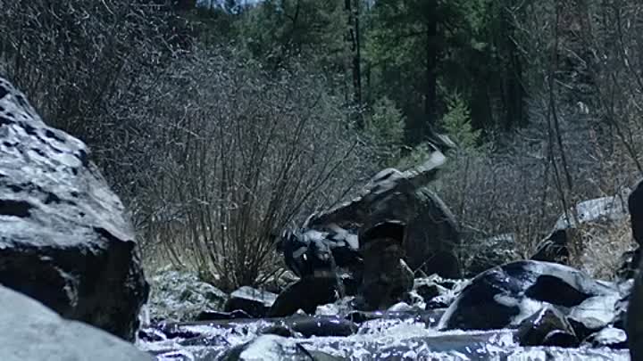 ⁣Running with the Devil 2019 BDRip XviD AC3-EVO