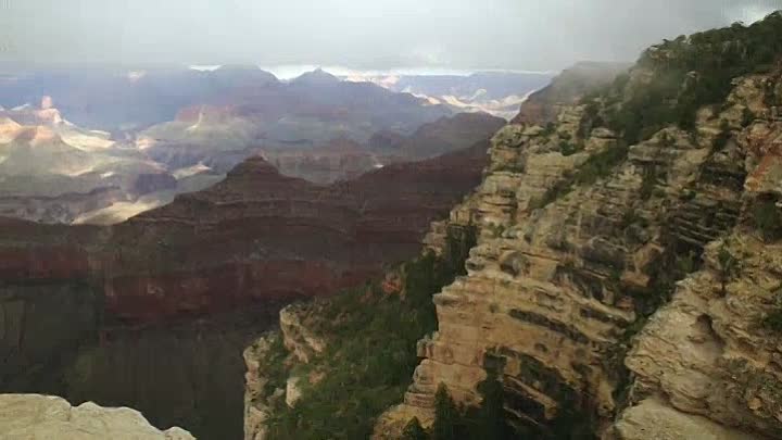 ⁣States 2019 HDRip XviD AC3-EVO