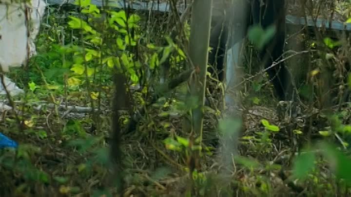 ⁣Survive the Game 2021 BRRip XviD AC3-EVO