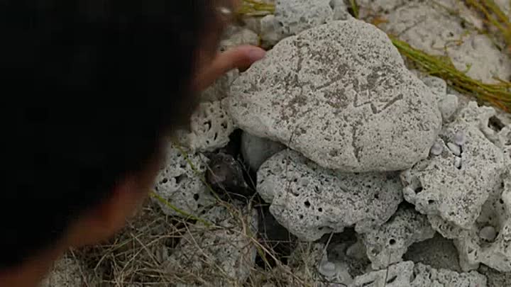 Sweetheart 2019 HDRip XviD AC3-EVO