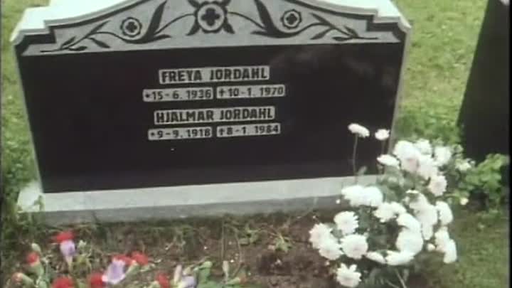 Maelstrom E03 (1985)