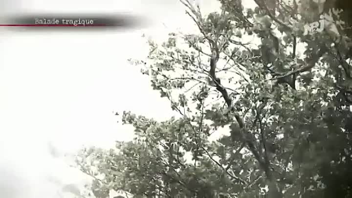 CRIMES -Dans le Grand Est