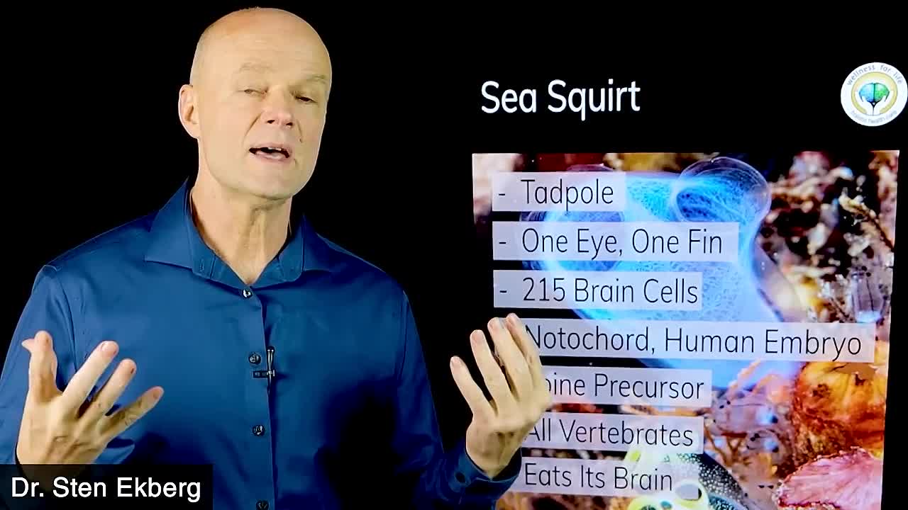 What Happens When You Start Exxerting Exercising Daily For 30 Days?