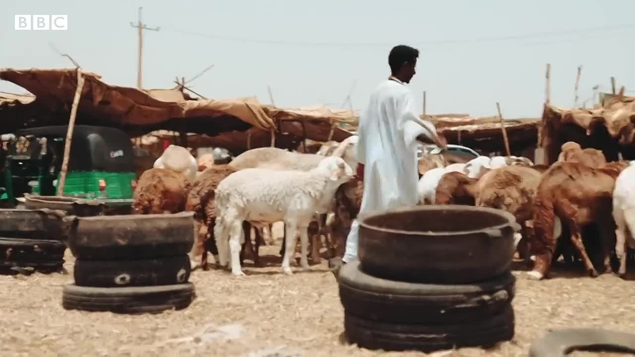 ⁣My undercover journey -Exploitative doctors