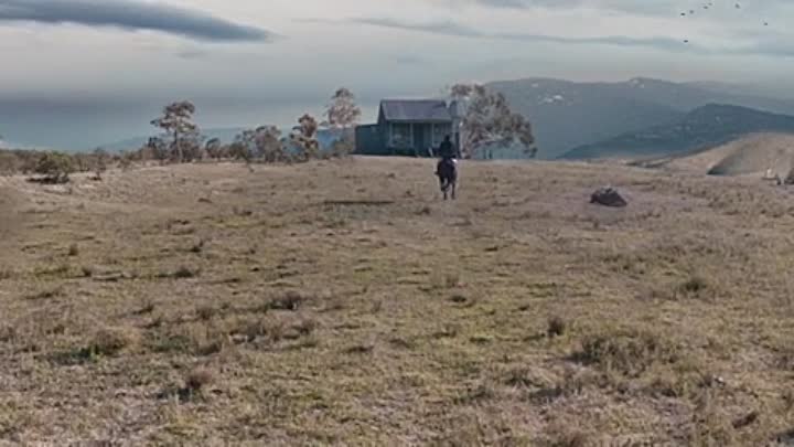 The Drovers Wife the Legend of Molly Johnson 2022 HDRip XviD AC3-EVO