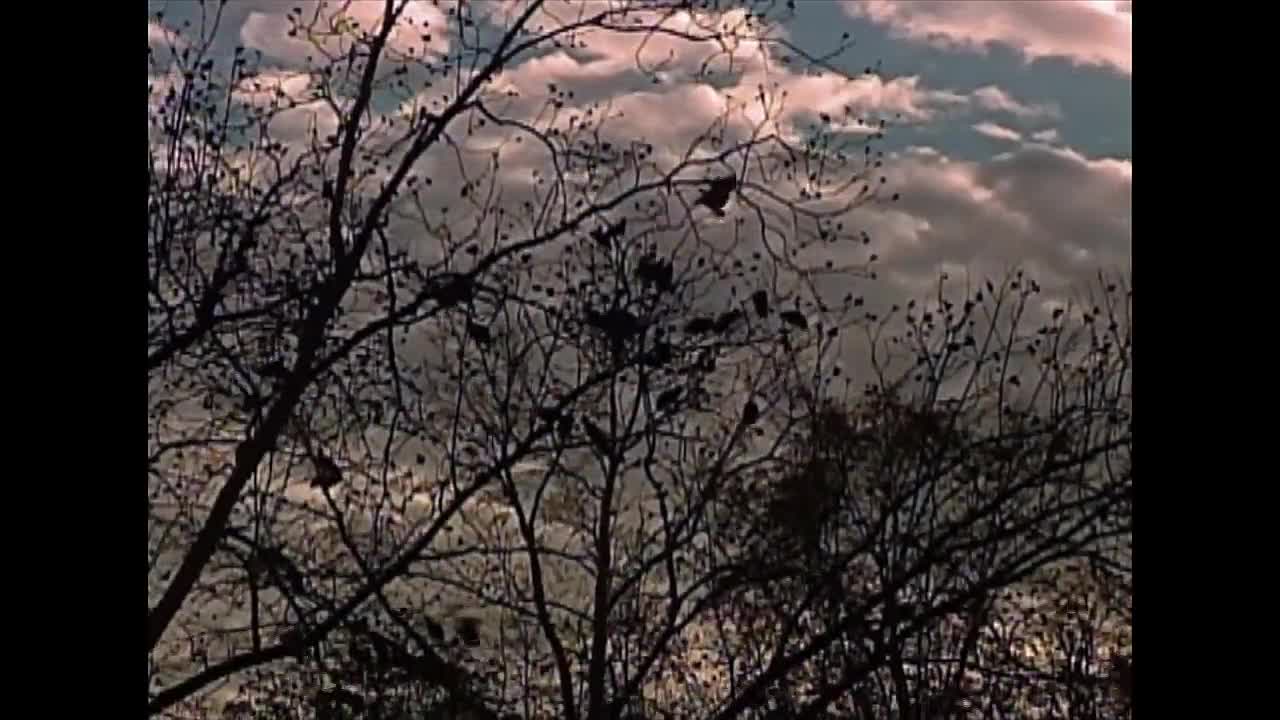 The 4-Year-Old Girl Who Could Speak To The Dead