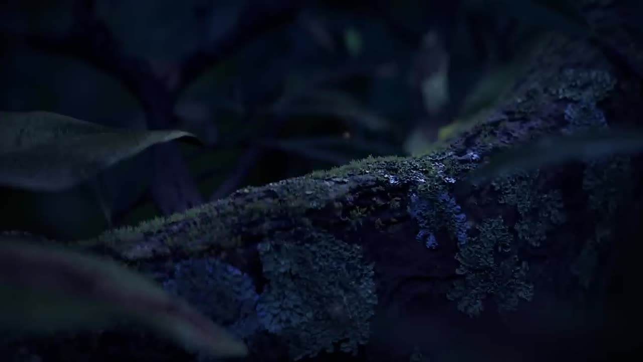 ⁣Swing to the Moon -by ESMA _ TheCGBros