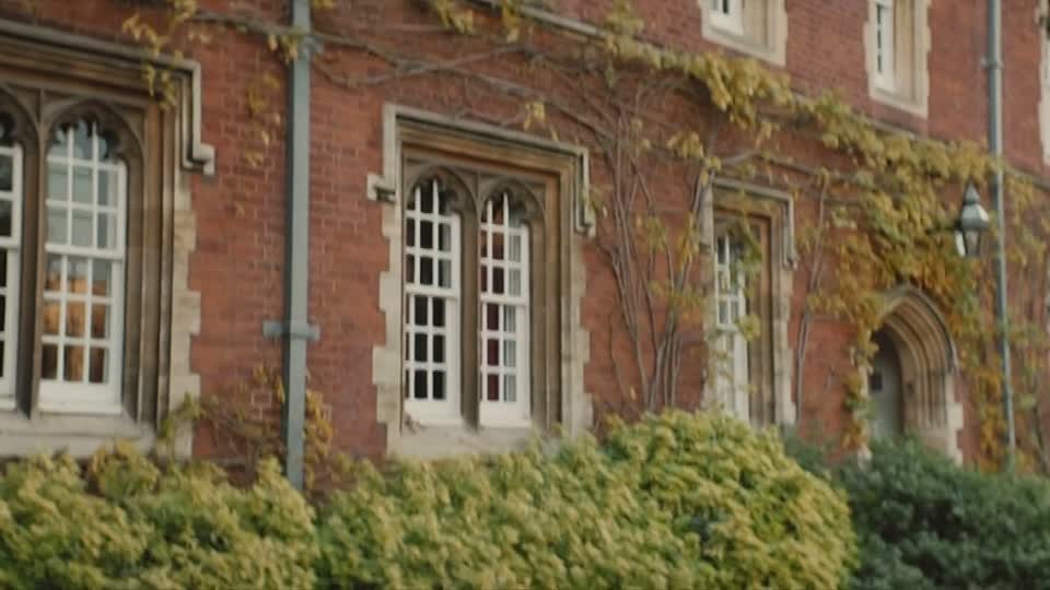 Professor T (2021) S01E03 -Tiger Tiger