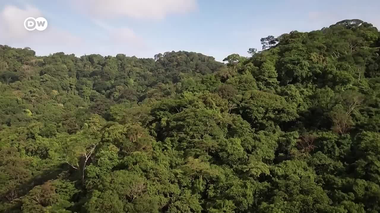 Migrants and the Darién Gap