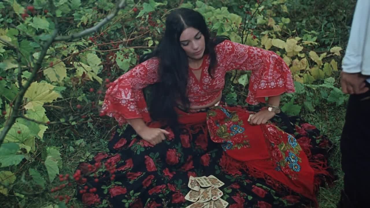 Queen Of The Gypsies 1976 RUSSIAN HC ENG SUBS 1080p BluRay x264 AAC-