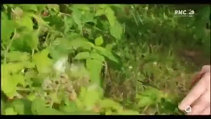 L'incroyable affaire Madeira