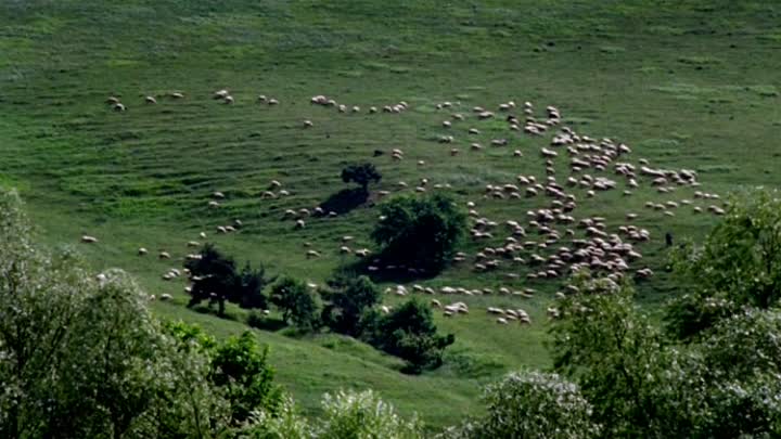 Katalin Varga 2009 ROMANIAN HC ENG SUBS 480p DVDRip x264 AAC-