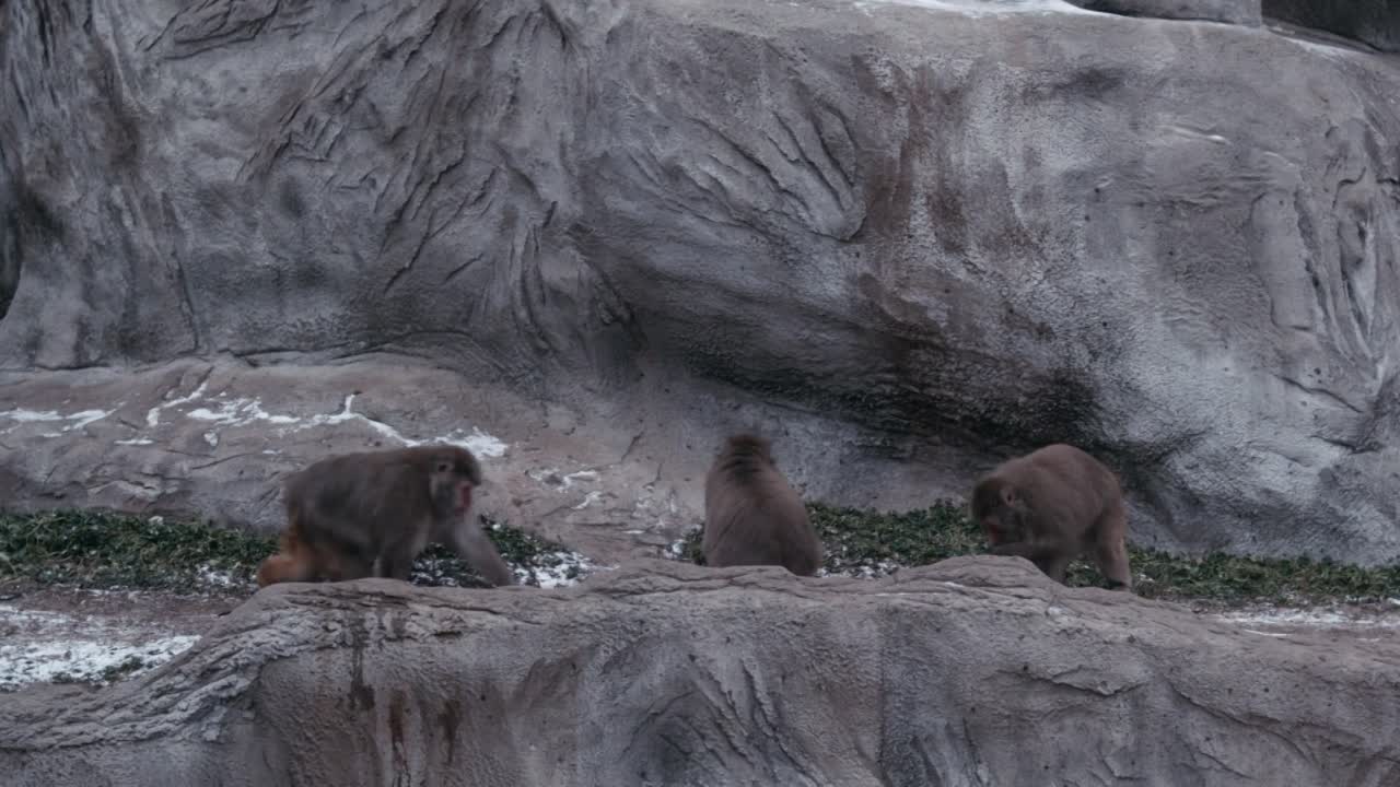 ⁣The Giant Mechanical Man 2012 1080p BrRip x264 YIFY