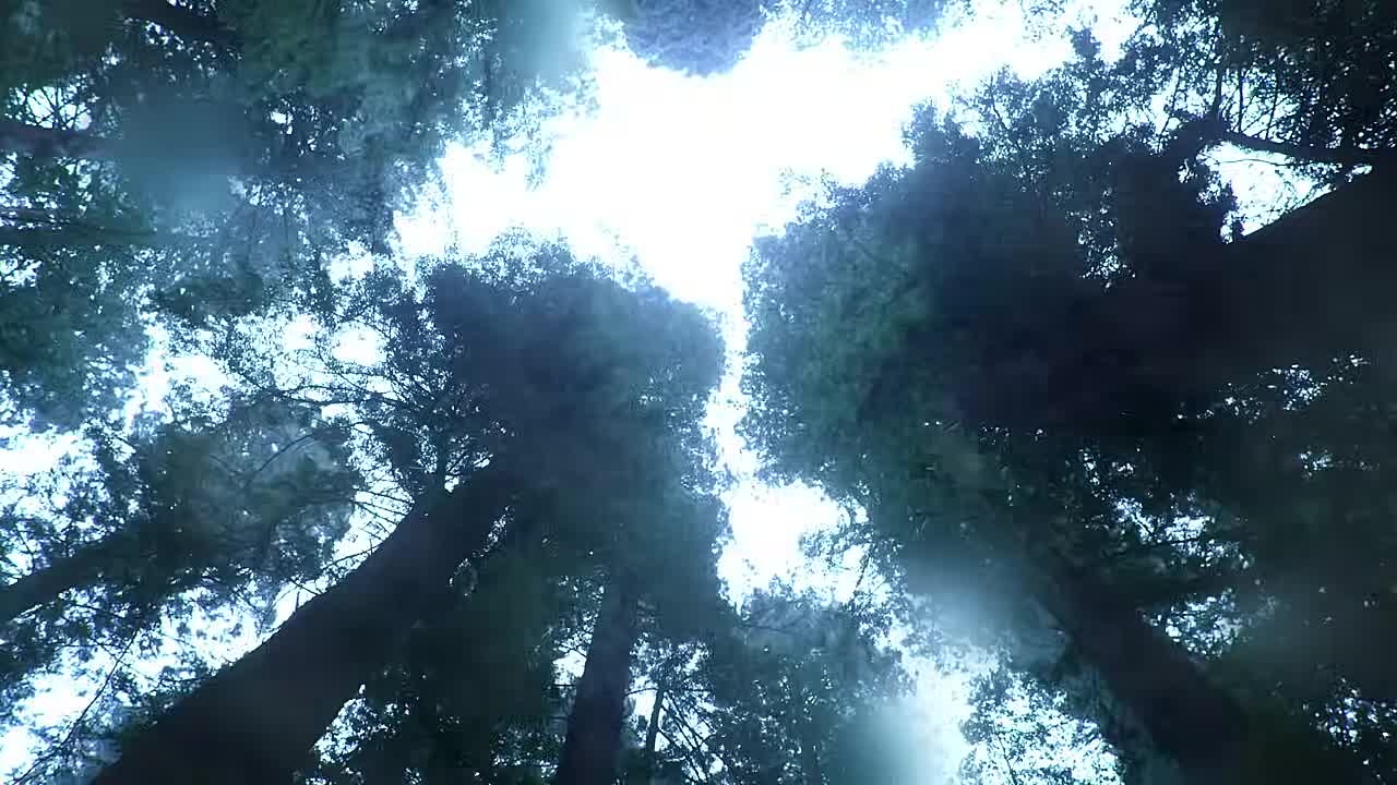 ⁣Terrible Fate  by EmberLab  CGMeetup