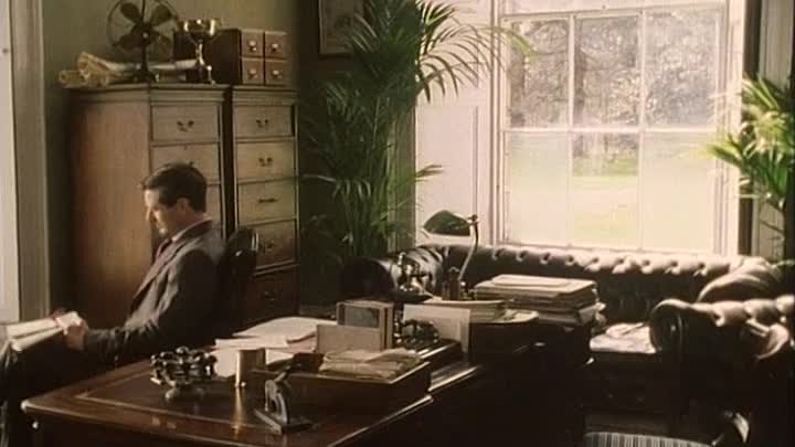 ⁣The Wingless Bird 2000