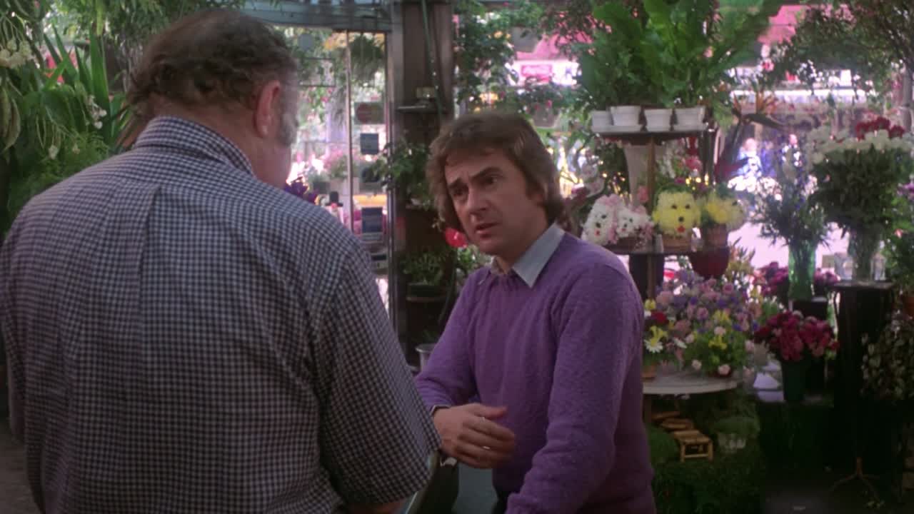 ⁣Arthur 1 1981 1080p BluRay x264-[YTS AM]