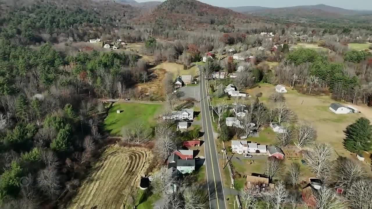 The Detective's Wife