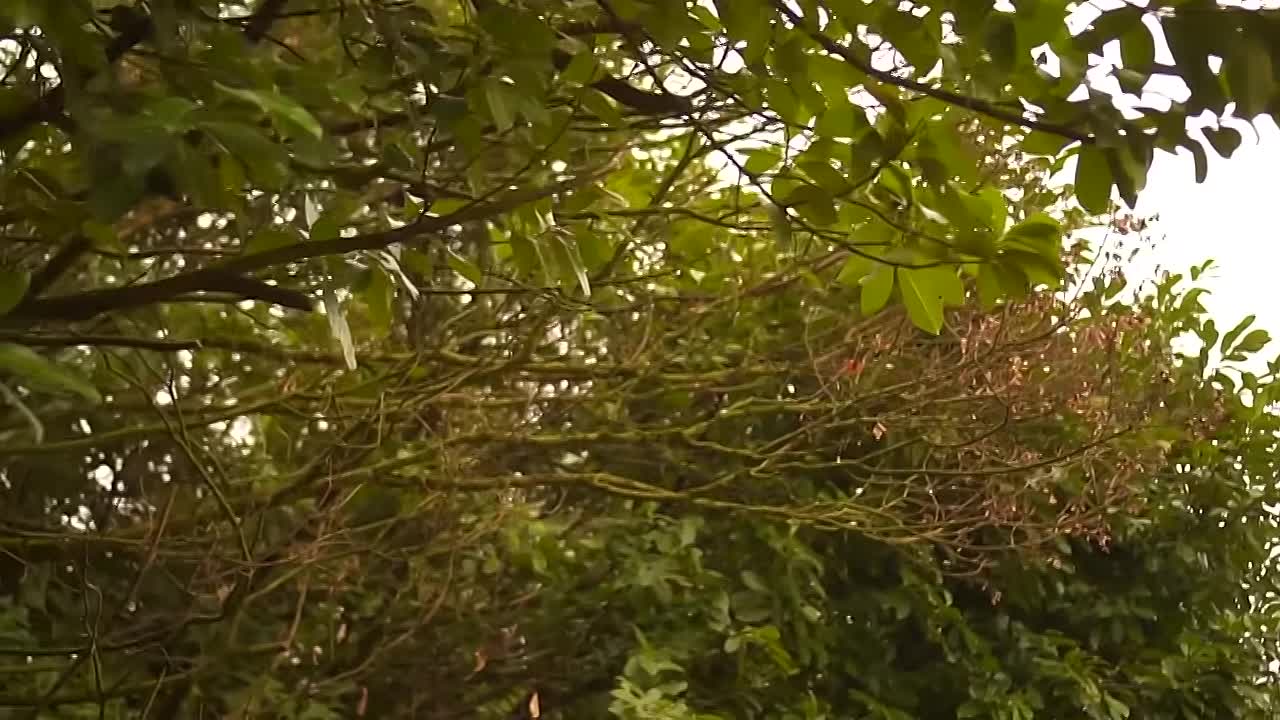 Chroniques Criminelles -L'affaire Evelyne de Furlan