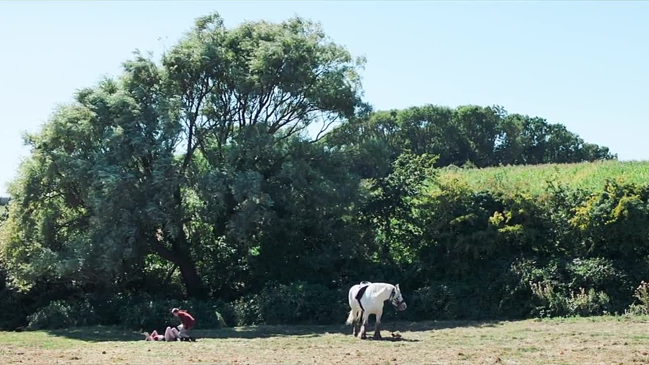 ⁣L Empire 2024 FRENCH 720P WEBRIP-Wawacity tokyo