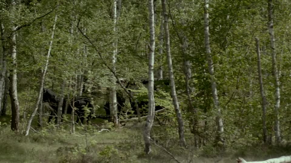 ⁣Madame de Sevigne 2024 FRENCH 720p WEB-DL H264-Slay3R