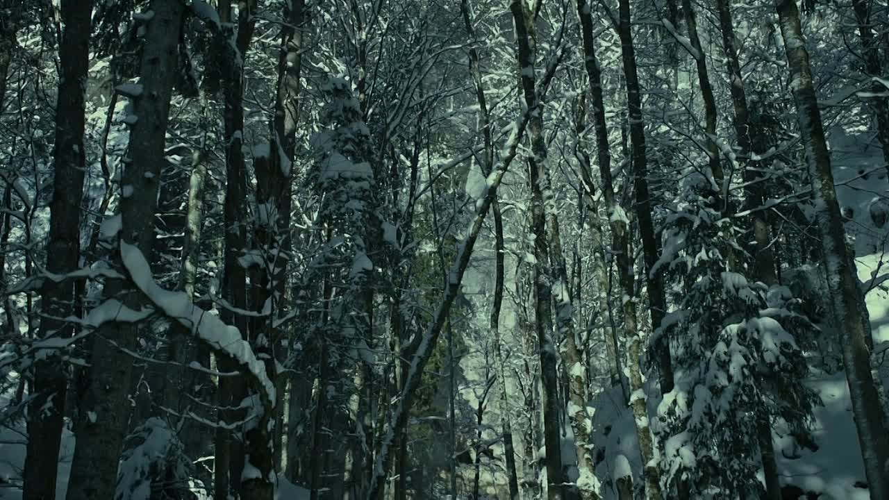 Schächten 2022 GERMAN 1080p WEBRip x264 AAC5 1-